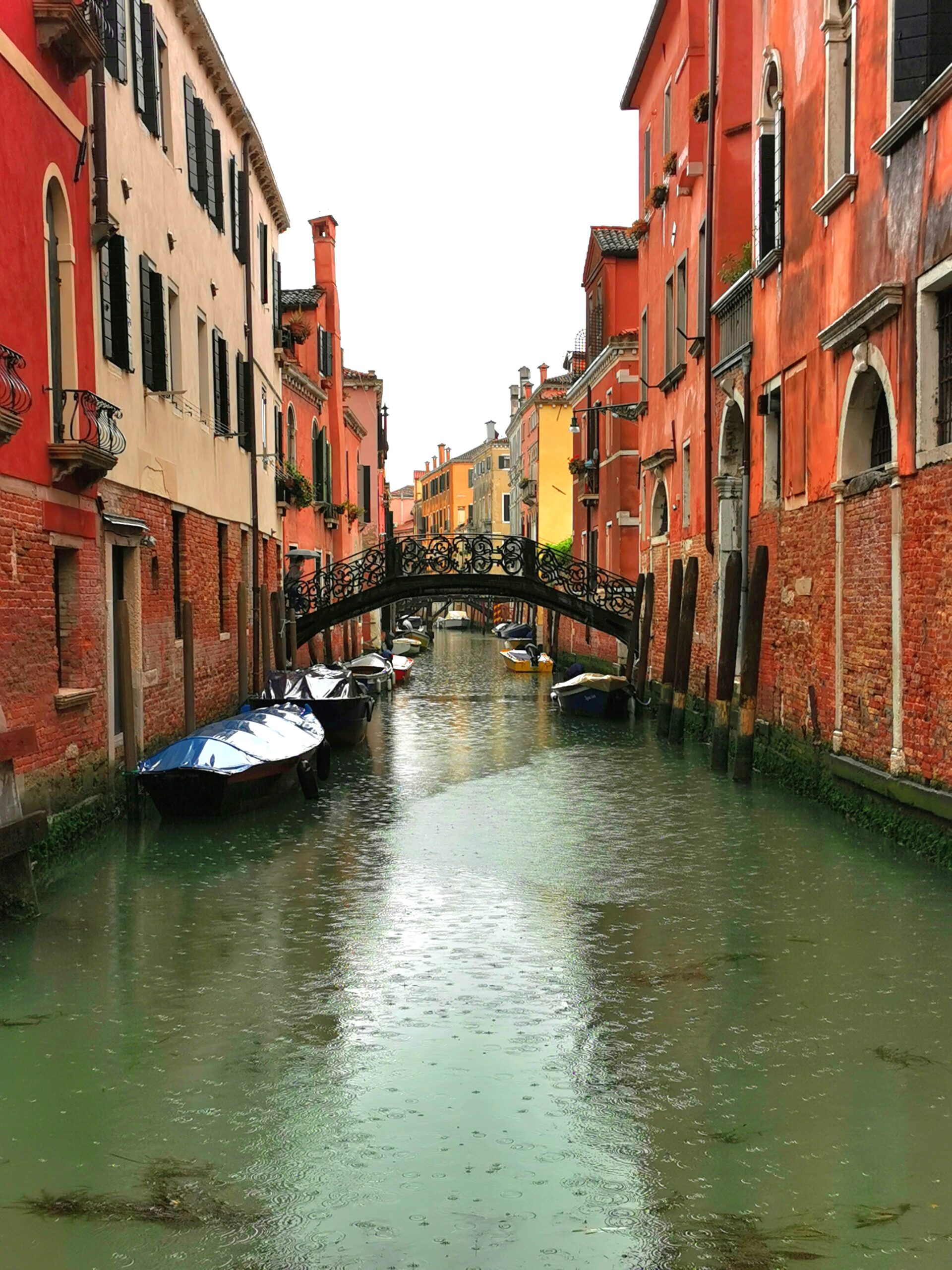 Benetke, potovanje v italijo, venice, venice parking, parking venice, parking benetke, benetke parking, italy, italija, parkiranje v benetkah, parkiranje benetke, kje parkirati v benetkah, vlak benetke, kako do benetk, kako do benetk z vlakom, kako z vlakom v benetke, z vlakom, z vlakom v benetke, benetke italija, kje parkirati benetke, kje parkirati v benetkah, benetke letališče, benetke železniška postaja, kje parkirati blizu železniške postaje v benetkah, benetke mestre, parkirna hiša benetke, benetke parkirna hiša, vožnja z vlakom, vstopnina benetke, vstopnica benetke, turistična taksa za benetke, benetke italija, kdaj je treba plačati takso v benetkah, v benetkah, gondola, vožnja z gondolo v benetkah, vožnja po kanalih, kanali benetke, ponte di rialto, 