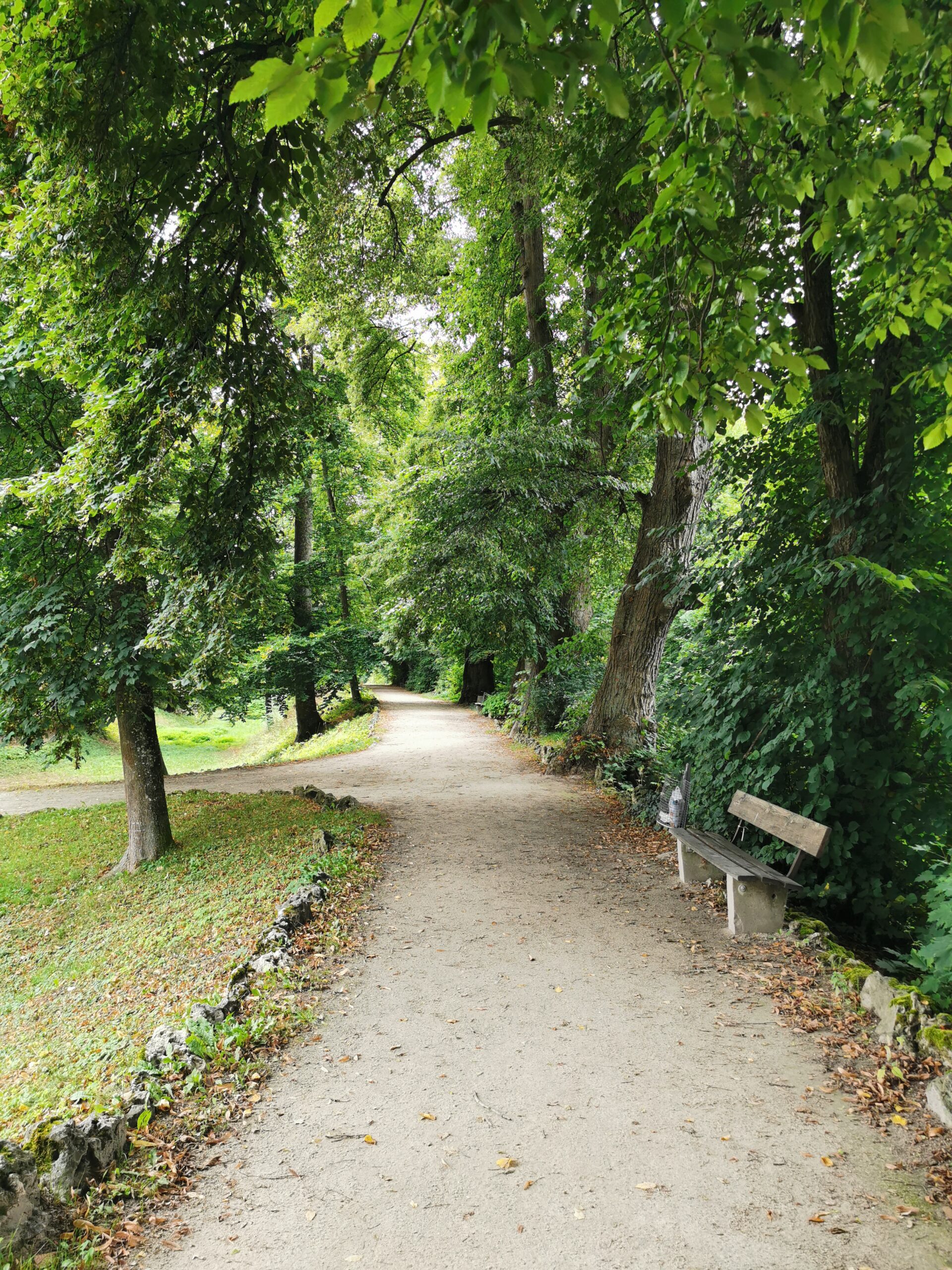 nemška romantična cesta, romantična cesta, german romantic road, romantična cesta potopis, potopis, potovalni načrt, načrt potovanja, nemčija potovanje, potovanje v nemčijo, potovanje, potovanja, družinska potovanja, družinske počitnice, romantične počitnice, nemčija roadtrip, roadtrip, home exchange, nemške ceste, nemška romantična pot, german romantische strasse, romantische strasse, deutchland romantische strasse, rothenburg, augsburg, dinkelsbuhl, fussen, neuschwanstein, nordlingen, wurzburg, kranjska gora, potovanje z avtom, roadtrip nemčija, rothenburg ob der tauber, sommersdorf, wassertruedingen, donauworth, oettingen in bayern, homeexchangecom, homeexchange, potopis